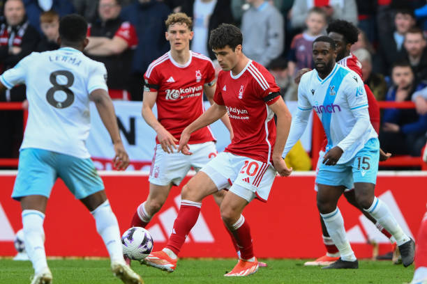 向世界展示 向世界展示