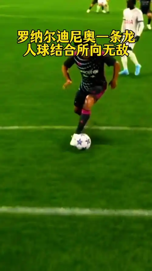 指标的评估 指标的评估